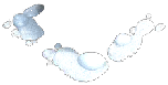 82000005