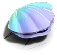 Cozy Clam