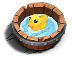 Duck Bath