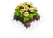 Sunflower Bed