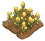 Tasty Corn