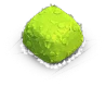 Bush