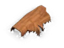 Trunk